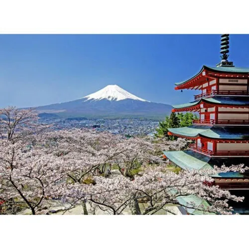 Oriental - Visual Yamanashi Fuji View