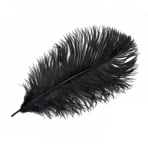 Small Black Feathers