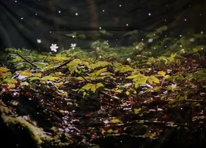 Visual nature forest 3x2m 