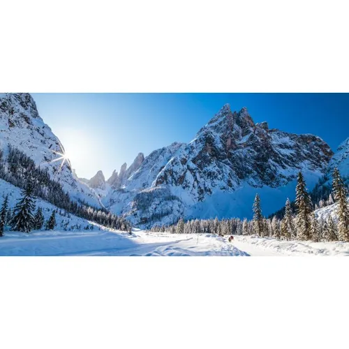 XXL Visual Snowy Mountain and Trees 4.3x3m