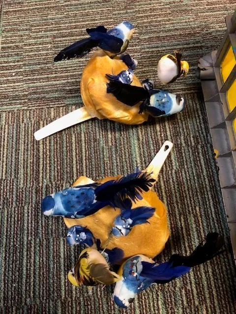 Bird handheld bouquets