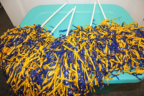 Blue and Yellow Pom Poms