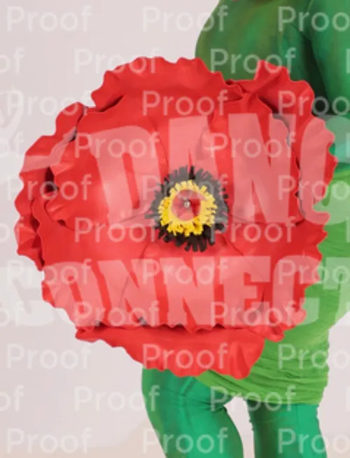 Poppy Umbrellas 2025