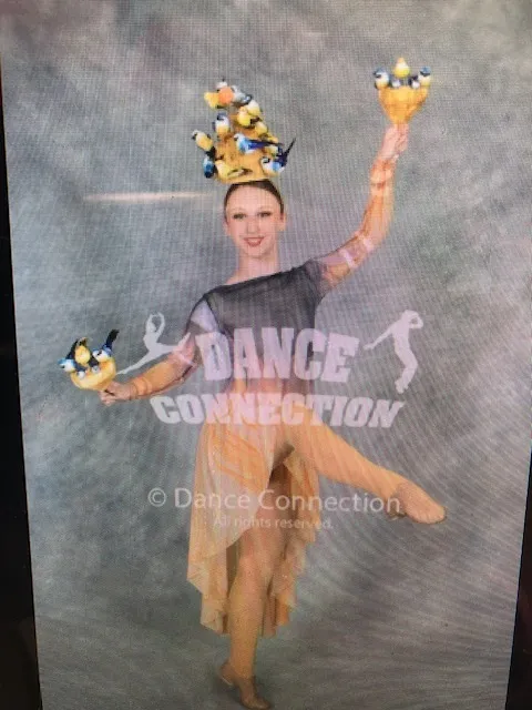 Bird Costume Dress Petite Adult