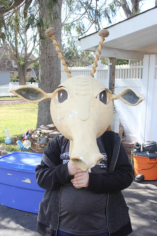 Giraffe Head