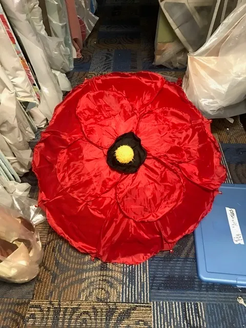 Poppy Umbrellas