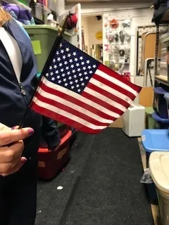 Mini American Flags