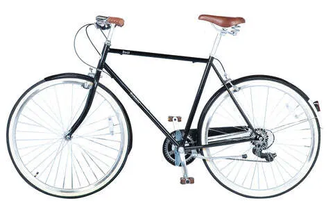 Normal Dutch Bike