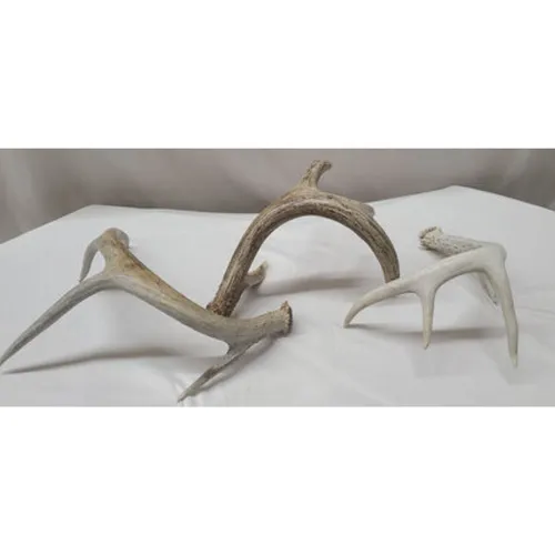 Assorted Faux Antlers