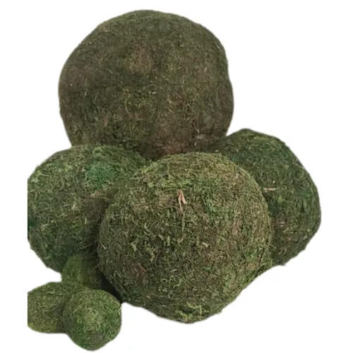 Assorted Moss balls