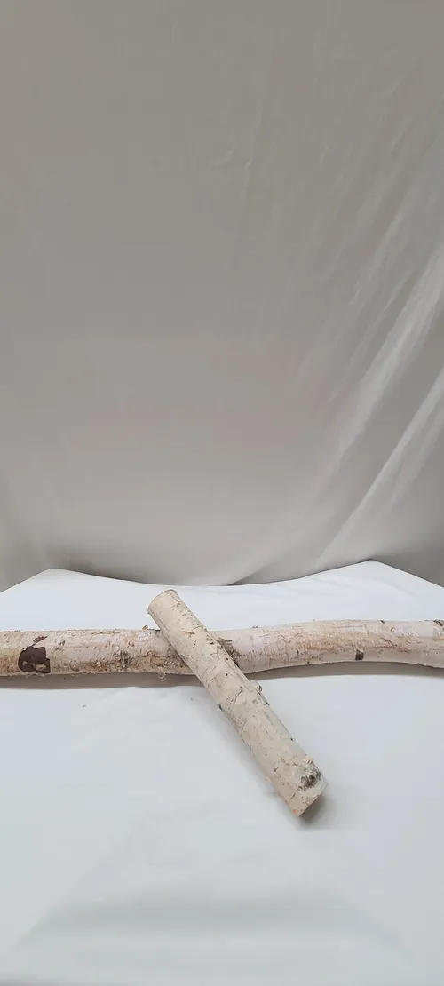 Assorted Size Birch sticks