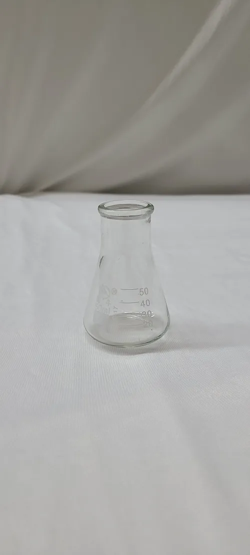 Small Science Flask Bud Vases