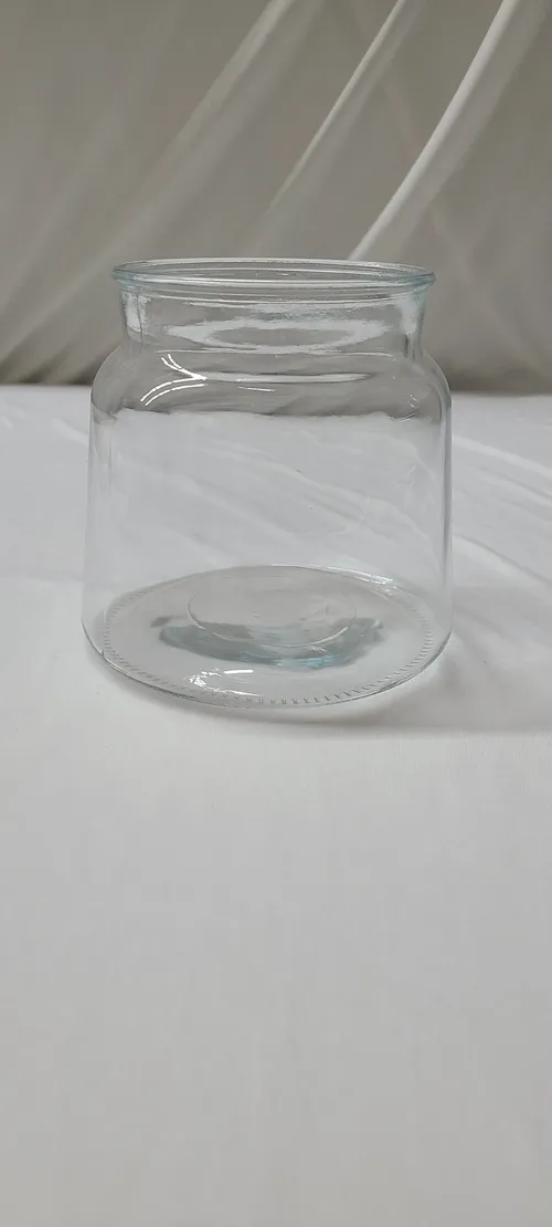 Clear Jar Vase
