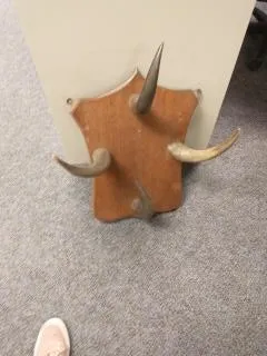 Coat Rack Horned