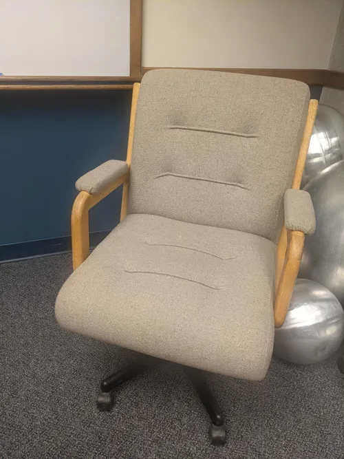 Office Chair Grey Cushioned Executive Room