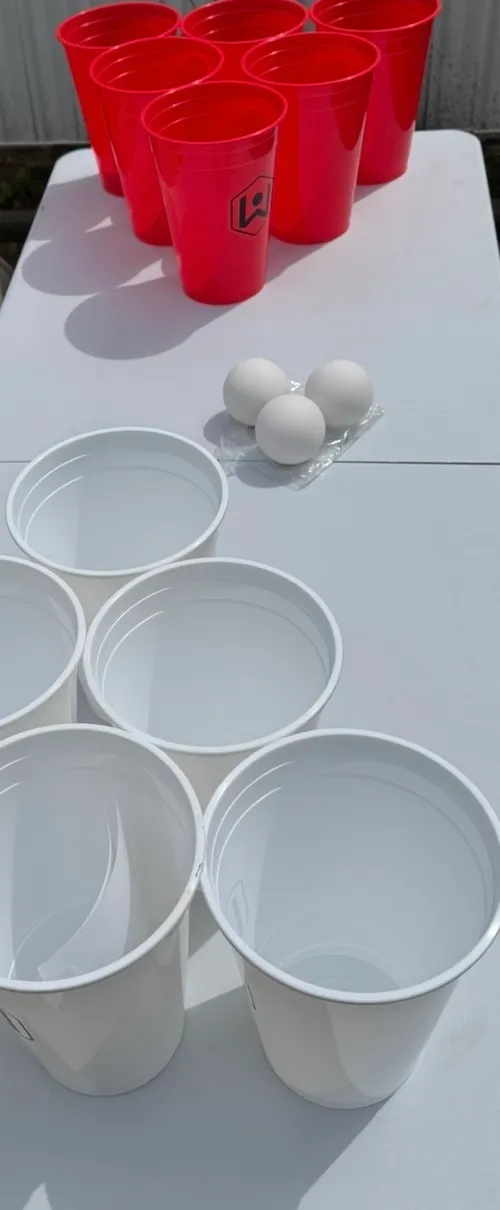 Giant Yard Pong