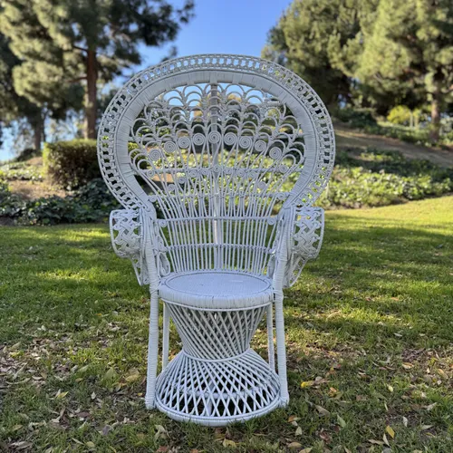 Reanna Peacock Chair (White)