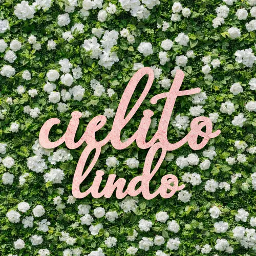 Cielito Lindo Pink Wood Sign