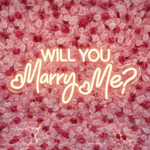 Will You Marry Me LED Sign