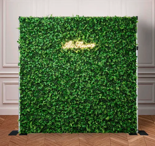 Green Grass Backdrop