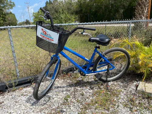 7-Speed Cruiser Bike Rental