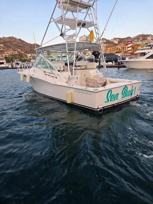Sea Bum Day Trip