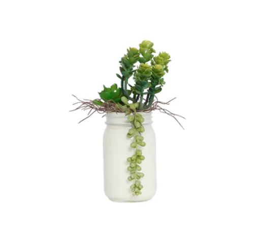 White glass jar succulents