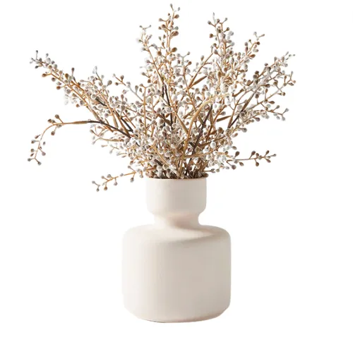 Natural bead plant in pot