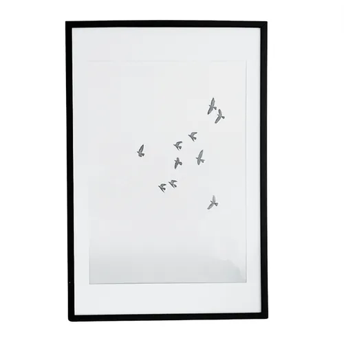 Bird Print in Black Frame Art B