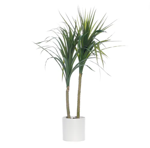 Double yucca white pot