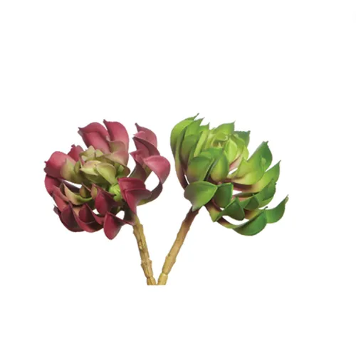 Pink, green succulent stem 2 ass