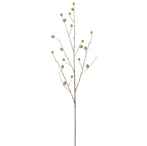 Berry Pod Stem Natural