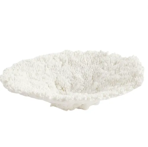 White Carnation Coral