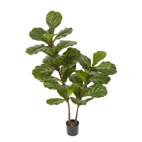 Fiddle leaf tree 113cm