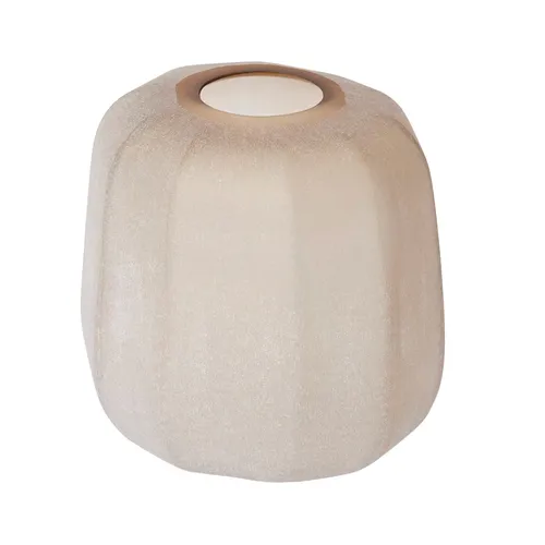 Frosted Glass Vase