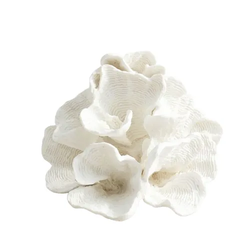 White wave coral sml