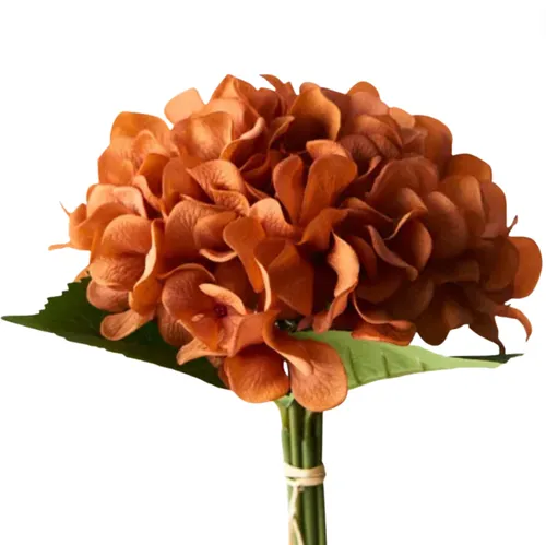 Hydrangea bouquet rust