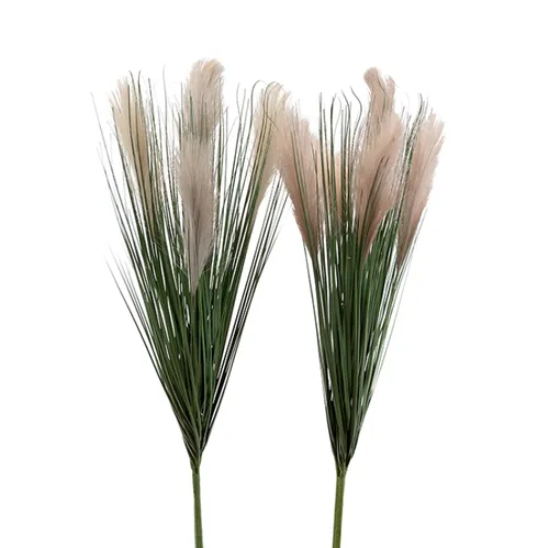 Onion grass bush