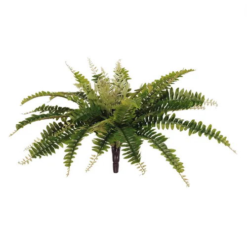 Boston Bush Fern Small 63cm W