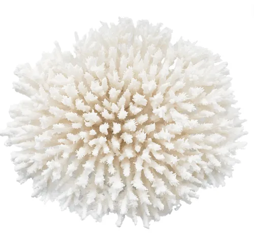 White Low Faux Coral Spiky