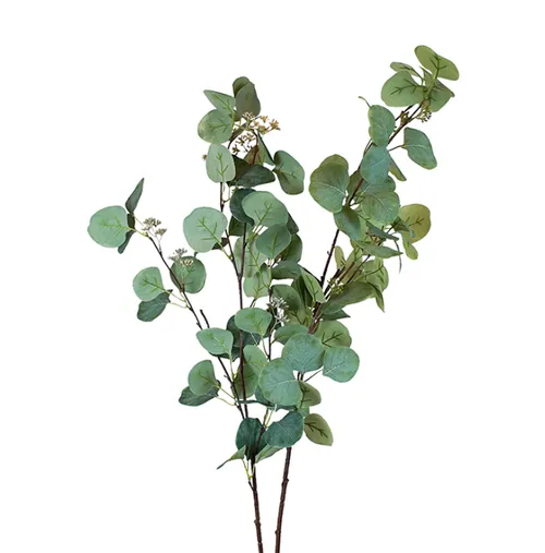 Eucalyptus Bouquet 50cm
