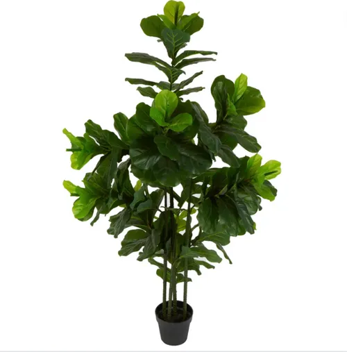 Fiddle leaf tree 190cm
