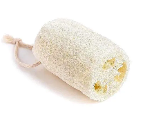 Natural Sponge