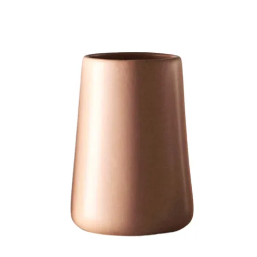 Salmon Toothbrush Holder