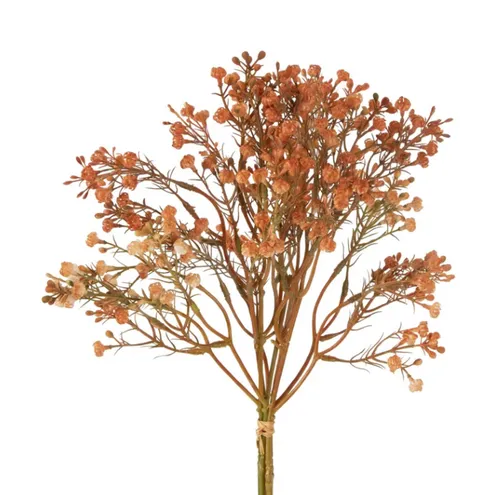 Gypsophila Bundle Apricot 38cm