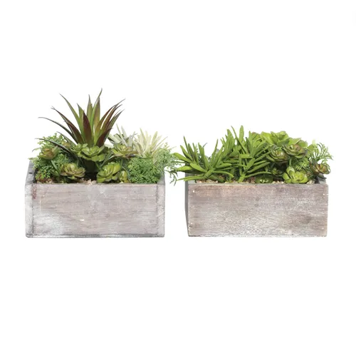 Succulent in square timber tray set 2