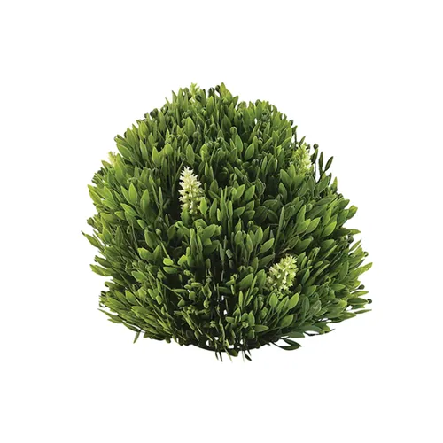 Buxus Ball Large
