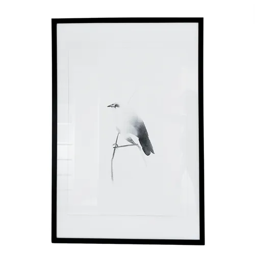 Bird Print in Black Frame A