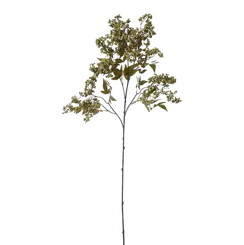 Green Pepper Berry Spray