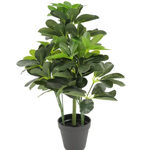 Umbrella Tree 52cm 